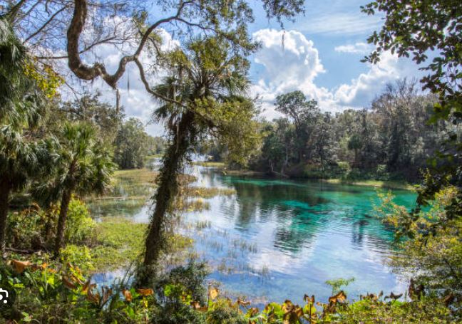 Cindy Burkhardt, top real estate agent in Rainbow Springs Dunnellon FL, showcasing waterfront lifestyle homes near Rainbow River.