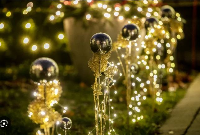 Twinkling holiday lights decorating Fort Cooper State Park trails